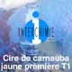 Cire de carnauba