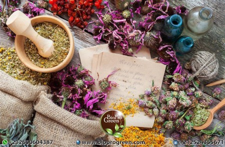 BioProGreen Herbs BioProGreen Herbs