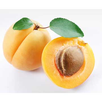 Huile 'Premium' de noyau d’abricot